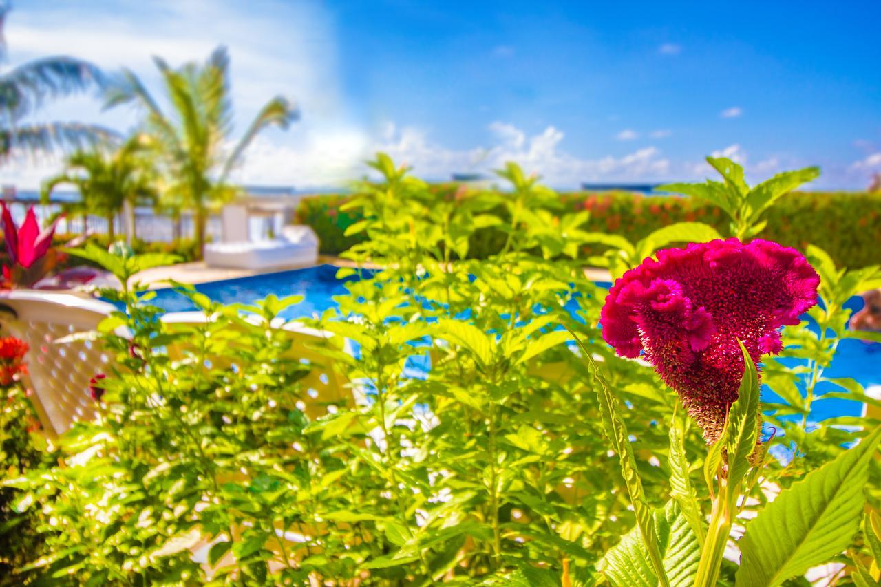 Hotel Aria Manzanillo Cartagena Bagian luar foto